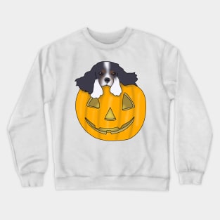 Puppy in a pumpkin  (cavalier king charles spaniel) Crewneck Sweatshirt